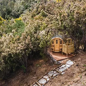  Villa El Pino Centenario 3 Con Sauna